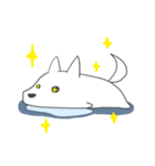 Difficult to understand the white dog（個別スタンプ：17）