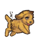 犬たちの本音（個別スタンプ：2）
