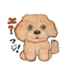 犬たちの本音（個別スタンプ：3）