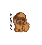 犬たちの本音（個別スタンプ：6）