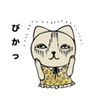 Fashionista Cat Sticker（個別スタンプ：15）
