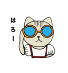 Fashionista Cat Sticker（個別スタンプ：29）