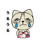 Fashionista Cat Sticker（個別スタンプ：39）