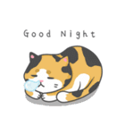 Cats Of The World（個別スタンプ：6）