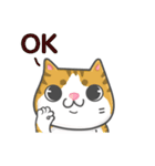 Cats Of The World（個別スタンプ：13）
