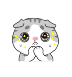 Cats Of The World（個別スタンプ：14）