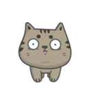 Cats Of The World（個別スタンプ：15）
