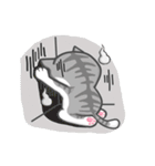 Cats Of The World（個別スタンプ：16）