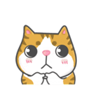 Cats Of The World（個別スタンプ：17）
