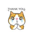 Cats Of The World（個別スタンプ：19）