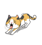 Cats Of The World（個別スタンプ：23）