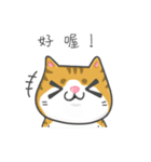 Cats Of The World（個別スタンプ：24）