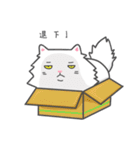 Cats Of The World（個別スタンプ：26）