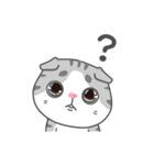 Cats Of The World（個別スタンプ：30）