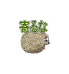 ちょっとめずらし動物（個別スタンプ：21）