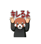 ちょっとめずらし動物（個別スタンプ：30）