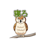 ちょっとめずらし動物（個別スタンプ：37）