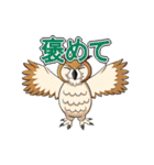 ちょっとめずらし動物（個別スタンプ：40）