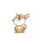 Shiba Knows It All（個別スタンプ：13）