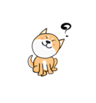 Shiba Knows It All（個別スタンプ：19）