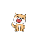 Shiba Knows It All（個別スタンプ：20）