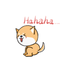 Shiba Knows It All（個別スタンプ：21）