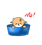 Shiba Knows It All（個別スタンプ：25）