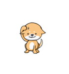 Shiba Knows It All（個別スタンプ：28）