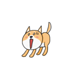 Shiba Knows It All（個別スタンプ：34）