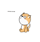 Shiba Knows It All（個別スタンプ：36）