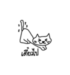 I'm cat.U know？（個別スタンプ：12）
