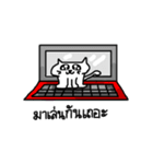 I'm cat.U know？（個別スタンプ：16）