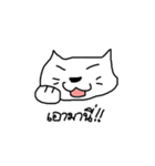 I'm cat.U know？（個別スタンプ：20）