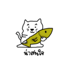 I'm cat.U know？（個別スタンプ：38）