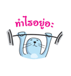 Fatty The Seal（個別スタンプ：37）