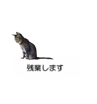猫のニコ（個別スタンプ：26）