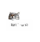 猫のニコ（個別スタンプ：35）