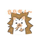 Hedgehog Coming 2（個別スタンプ：20）