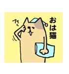 とりあえず猫（個別スタンプ：10）