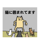 とりあえず猫（個別スタンプ：20）