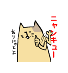 とりあえず猫（個別スタンプ：23）