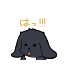 うさぎのマロン（個別スタンプ：20）