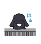 うさぎのマロン（個別スタンプ：22）