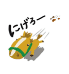 毎日うま日和（個別スタンプ：14）