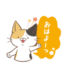 ほんわか猫さん -日本語-（個別スタンプ：1）