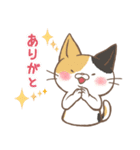 ほんわか猫さん -日本語-（個別スタンプ：5）