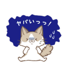 ほんわか猫さん -日本語-（個別スタンプ：7）