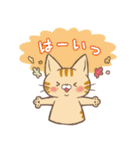 ほんわか猫さん -日本語-（個別スタンプ：11）