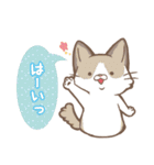 ほんわか猫さん -日本語-（個別スタンプ：12）