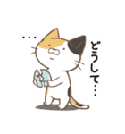 ほんわか猫さん -日本語-（個別スタンプ：18）